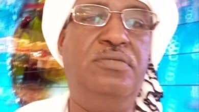 عادل محجوب على