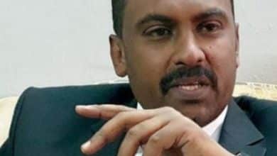 محمد الفكي سليمان