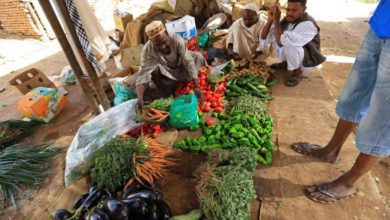 اقتصاد السودان