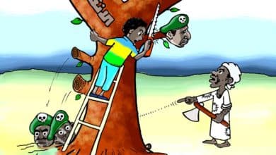 الدولة العميقة ... كاريكاتير عمر دفع الله