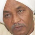 صورة محمد طه القدال