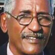 صورة د. نورالدائم الخضر