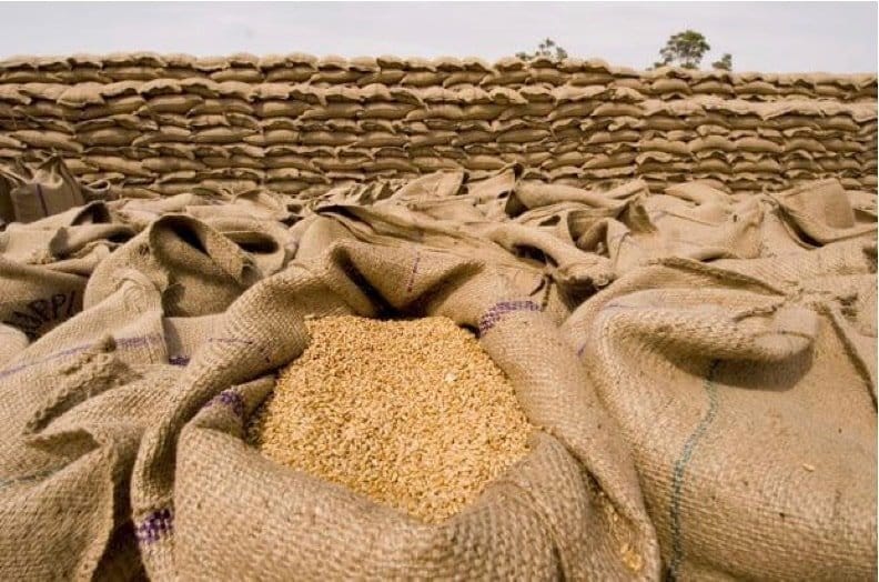 النبك الزراعي استلم ملايين الجوالات من القمح