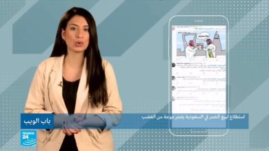 برنامج باب الويب