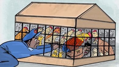 أنس عمر ... كاريكاتير عمر دفع الله