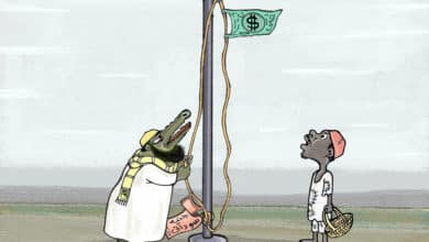 السودان والدولار ... كاريكاتير عمر دفع الله