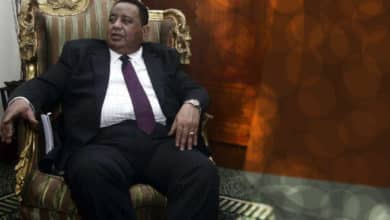 بروفيسور إبراهيم غندور