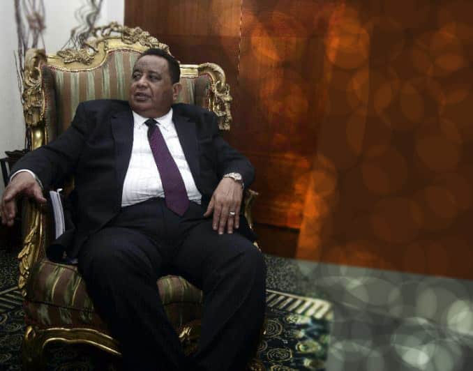 بروفيسور إبراهيم غندور
