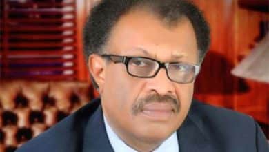 أمير تاج السر