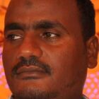 صورة محمد سعيد حلفاوي