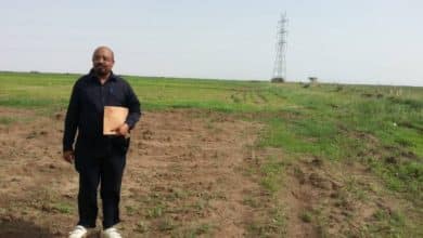 د. محمد عبدالقادر سبيل