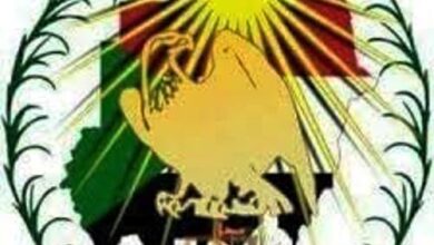 مجلس الصحوة الثوري