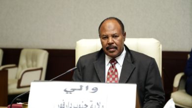 والي جنوب دارفور موسى مهدي