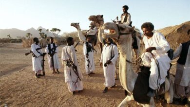 البجا