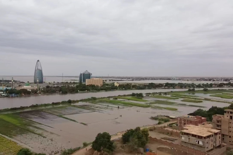 القطاع البستاني تضرر بالكامل لتمدده على شواطئ نهر النيل ليكون أكثر القطاعات الزراعية تضررا (الأناضول)