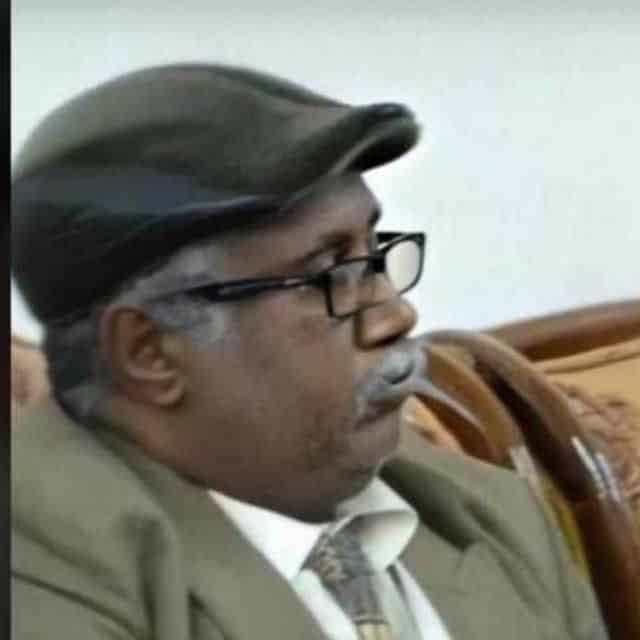 الدكتور عاصم محمد الامين