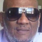 صورة محمد حسن شوربجي