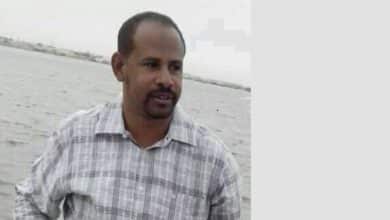 غاندي إبراهيم