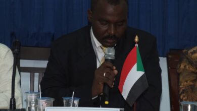 جمال ابراهيم حامد