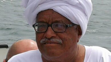د. عثمان البدرى