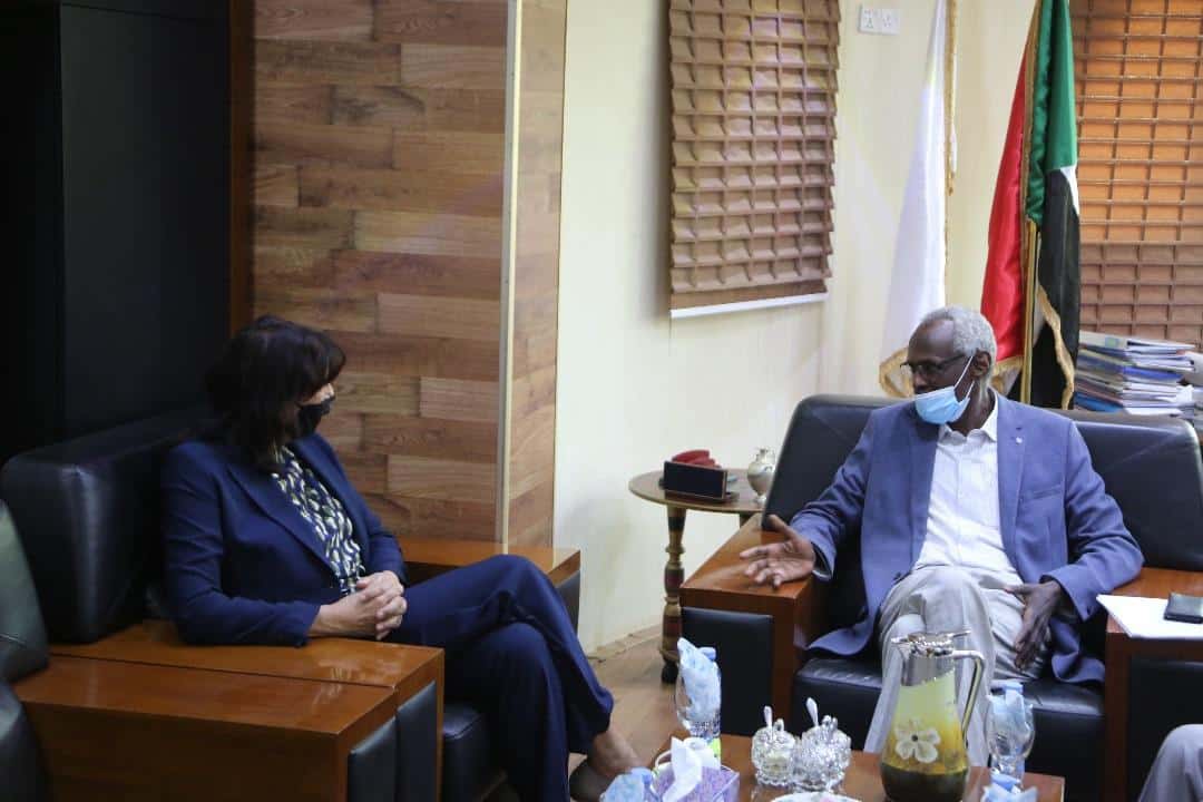 وزير الري ياسر عباس