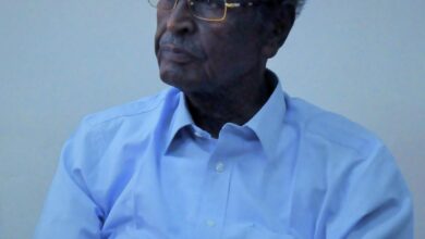 صلاح الدين محمد الأمين