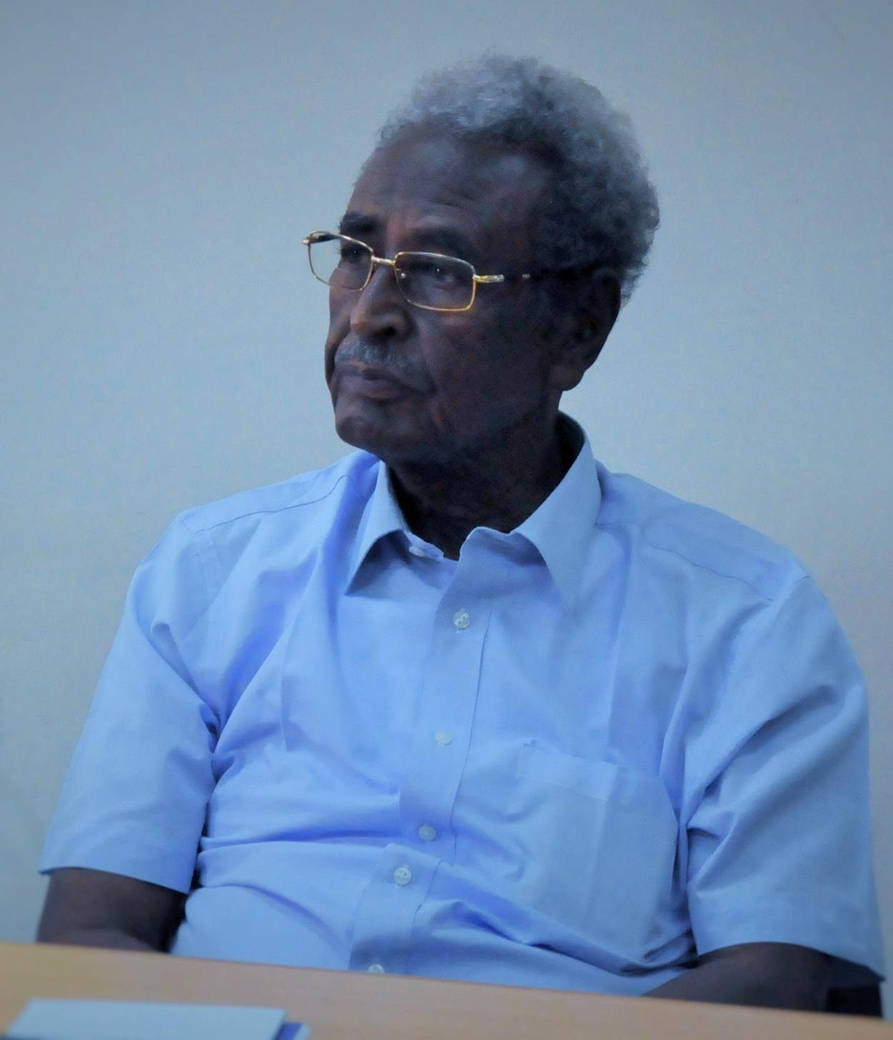 صلاح الدين محمد الأمين