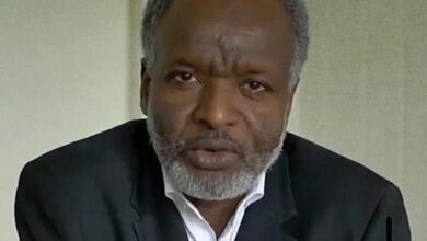 الأمين السياسي لحركة العدل والمساواة السودانية، الفريق سليمان صندل حقار