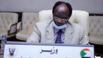 وزير الاستثمار السوداني الهادي محمد إبراهيم
