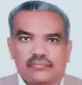 صورة د. فيصل جلال الدين الحسن