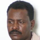 صورة عماد أبو شامة