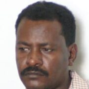 صورة عماد أبو شامة