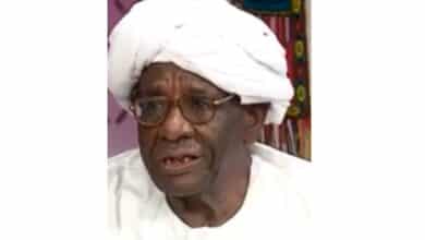 د. محمد الامين محمد نور ، خبير انظمة السدود والري