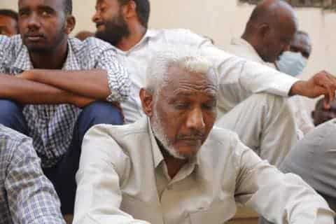 محمد الحسن محمد عثمان