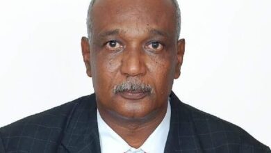 ضياء الدين السيد