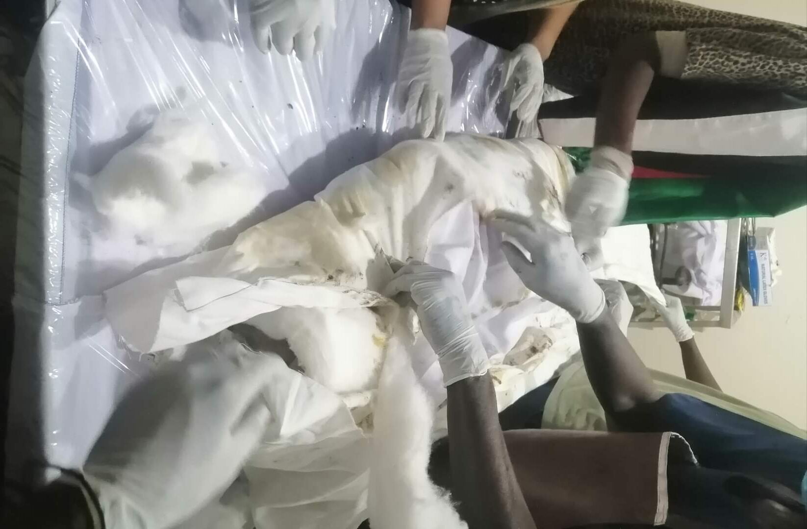 تشريح الشهيد ود عكر