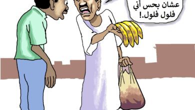 اعتصام الفلول ... كاريكاتير ود أبّو