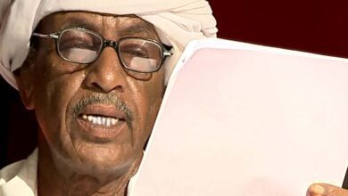 ميرغني ديشاب