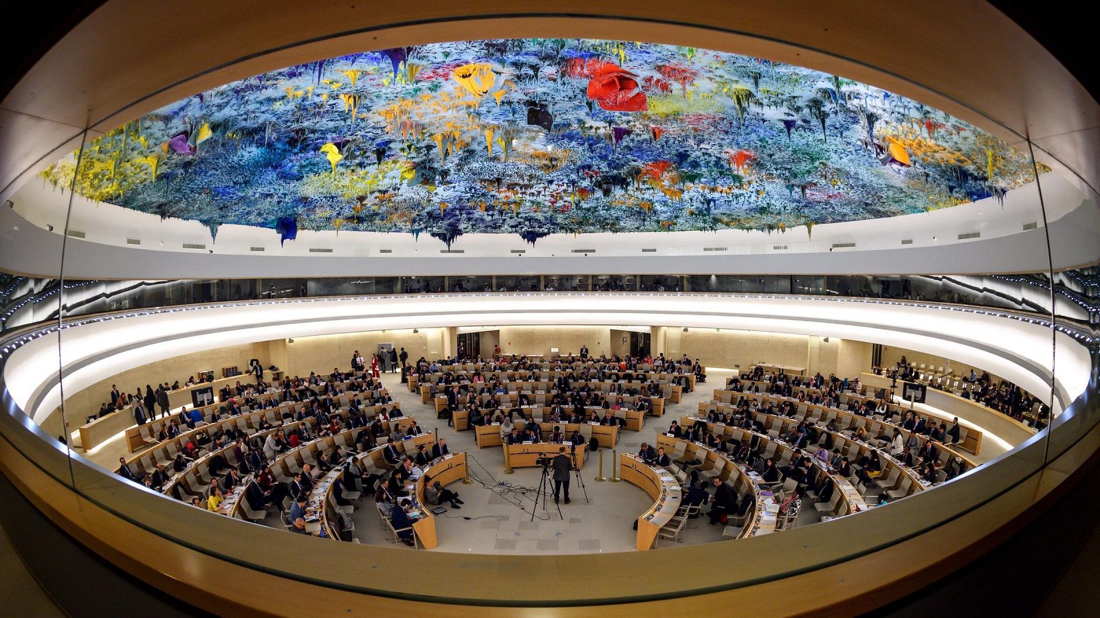 The Human Rights Council Geneva