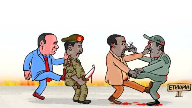 مصر خلف حرب السودان والحبشة ... كاريكاتير عمر دفع الله