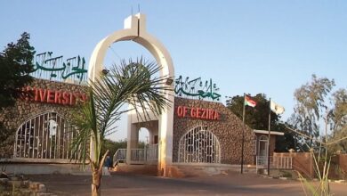 جامعة الجزيرة السودان