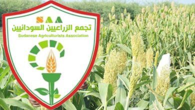 تجمع الزراعيين السودانيين