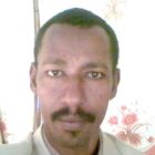 صورة النذير إبراهيم العاقب