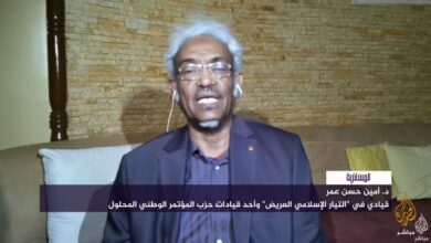 أمين حسن عمر
