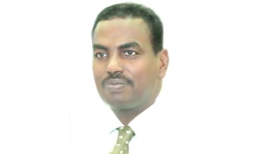 عماد الدين قرشي محمد حسن