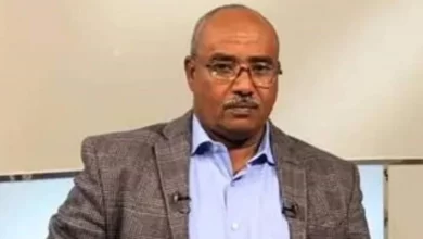 نقيب الصحفيين السودانيين السيد عبد المنعم أبو إدريس © مونت كارلو الدولية