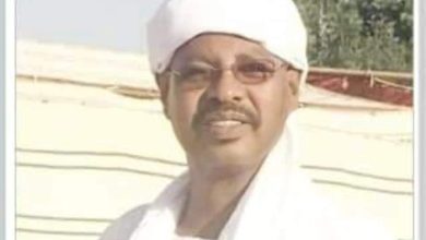 ناصر الطيب عبدالباقي المكاشفي