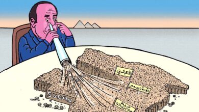 الجهود المصرية لاجهاض الثورة السودانية ... كاريكاتير عمر دفع الله