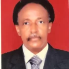 صورة الطيب النضيف - المحامي