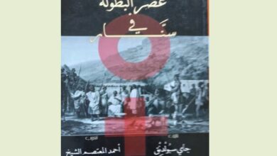 عرض لكتاب: عَصْرُ البُطولة في سنّار